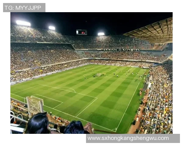 长发飘逸的足球传奇球星如何在绿茵场上书写永恒经典